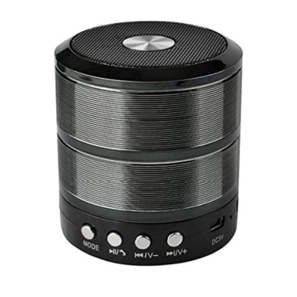 مكبر صوت بلوتوث وراديو من ساب ws-887 - مضخم صوت بلوتوث صغير محمول (اسود)